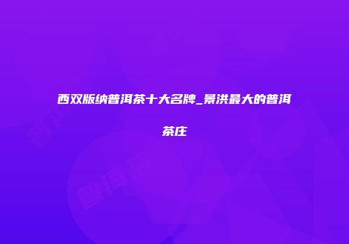 西双版纳普洱茶十大名牌_景洪最大的普洱茶庄