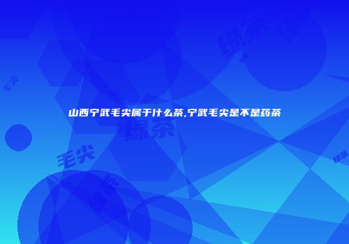 山西宁武毛尖属于什么茶,宁武毛尖是不是药茶