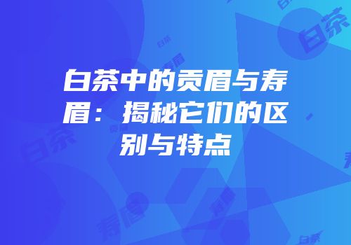 白茶中的贡眉与寿眉：揭秘它们的区别与特点
