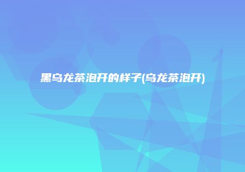 黑乌龙茶泡开的样子(乌龙茶泡开)