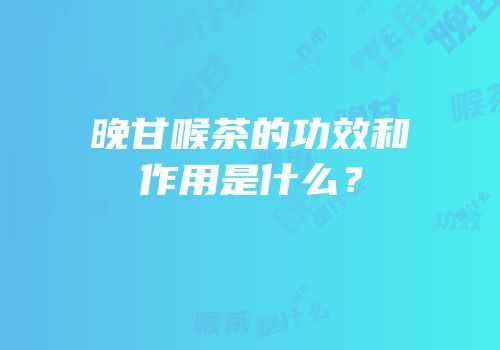 晚甘喉茶的功效和作用是什么？