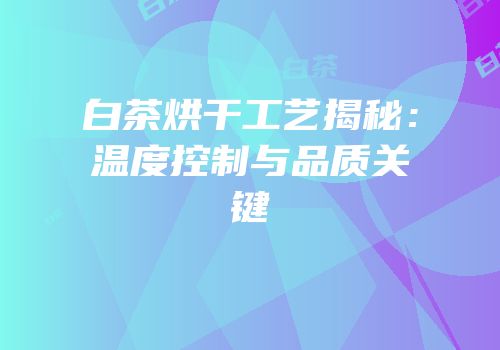 白茶烘干工艺揭秘：温度控制与品质关键