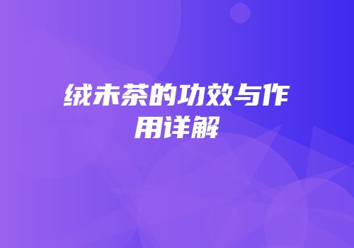绒未茶的功效与作用详解