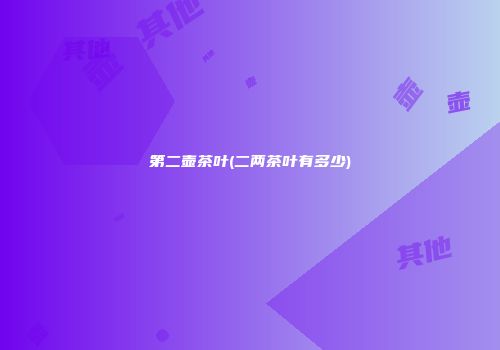 第二壶茶叶(二两茶叶有多少)
