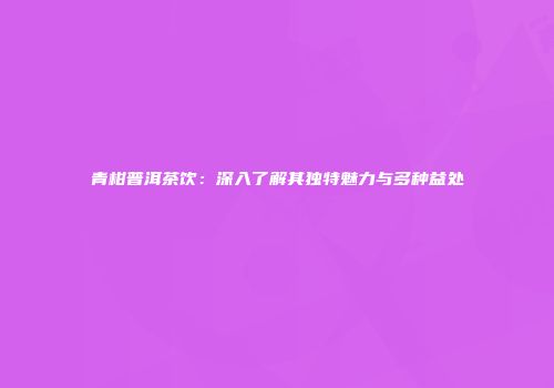 青柑普洱茶饮：深入了解其独特魅力与多种益处
