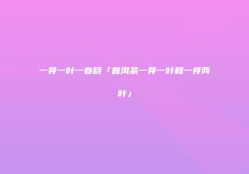 一芽一叶一春晓「普洱茶一芽一叶和一芽两叶」