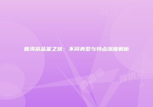 普洱茶品鉴之旅：不同类型与特点深度解析