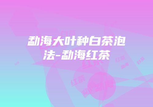 勐海大叶种白茶泡法-勐海红茶