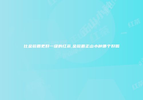 比金骏眉更好一级的红茶,金骏眉正山小种哪个好喝