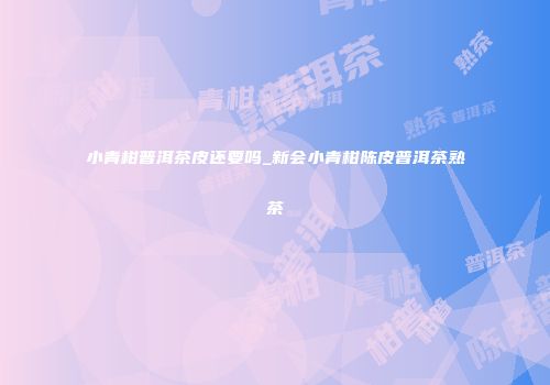 小青柑普洱茶皮还要吗_新会小青柑陈皮普洱茶熟茶