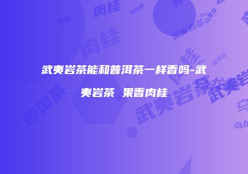 武夷岩茶能和普洱茶一样香吗-武夷岩茶 果香肉桂