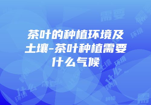 茶叶的种植环境及土壤-茶叶种植需要什么气候