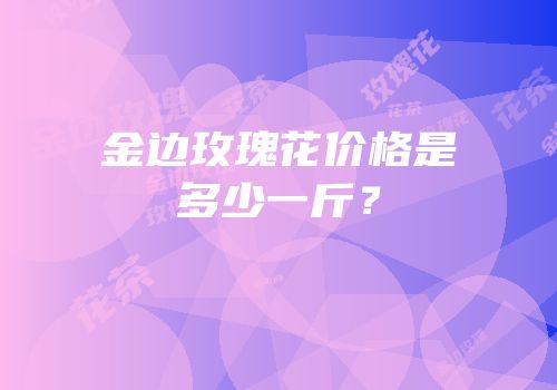 金边玫瑰花价格是多少一斤？