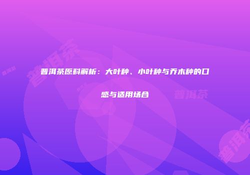 普洱茶原料解析：大叶种、小叶种与乔木种的口感与适用场合