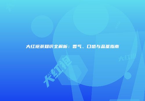 大红袍茶知识全解析：香气、口感与品鉴指南