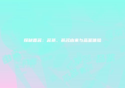 探秘香茗：茗茶、茶名由来与品鉴体验
