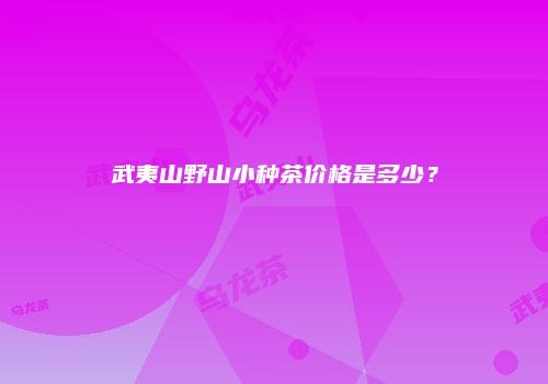 武夷山野山小种茶价格是多少？