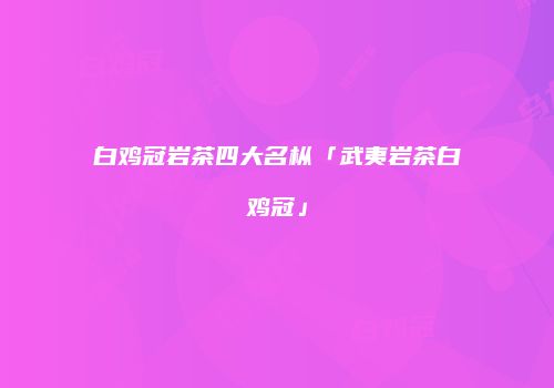 白鸡冠岩茶四大名枞「武夷岩茶白鸡冠」