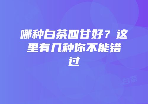 哪种白茶回甘好？这里有几种你不能错过