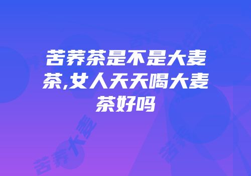 苦荞茶是不是大麦茶,女人天天喝大麦茶好吗