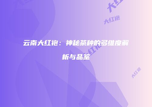 云南大红袍：神秘茶种的多维度解析与品鉴