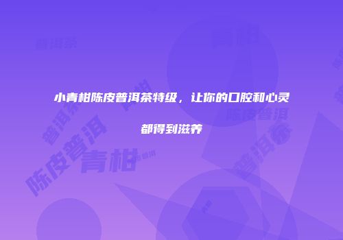 小青柑陈皮普洱茶特级，让你的口腔和心灵都得到滋养