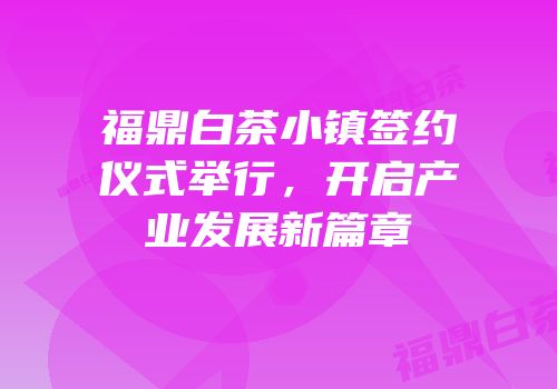 福鼎白茶小镇签约仪式举行，开启产业发展新篇章