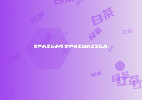 紫笋茶是白茶吗(紫笋茶是绿茶还是红茶)