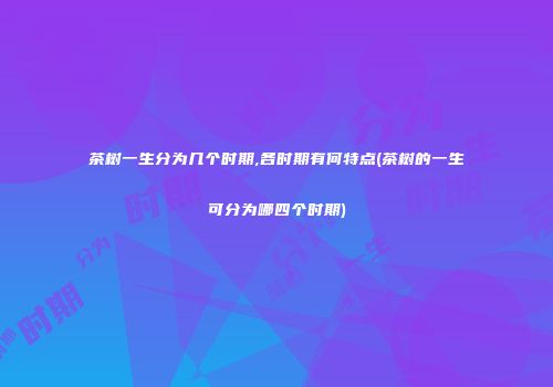 茶树一生分为几个时期,各时期有何特点(茶树的一生可分为哪四个时期)