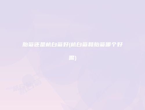 胎菊还是杭白菊好(杭白菊和胎菊哪个好喝)