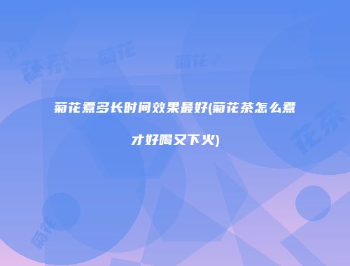 菊花煮多长时间效果最好(菊花茶怎么煮才好喝又下火)
