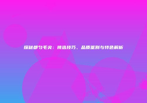 探秘都匀毛尖：挑选技巧、品质鉴别与特色解析
