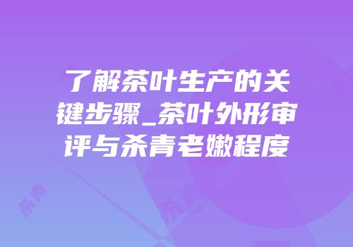 了解茶叶生产的关键步骤_茶叶外形审评与杀青老嫩程度