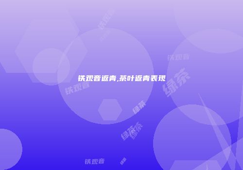 铁观音返青,茶叶返青表现