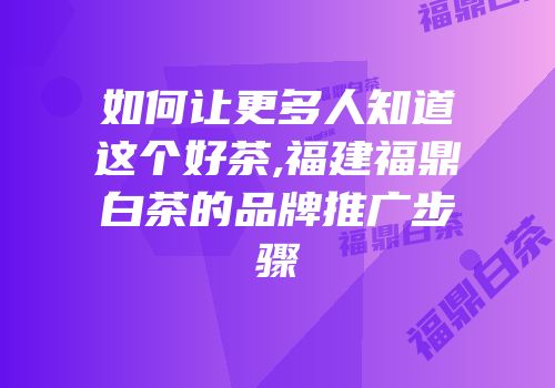 如何让更多人知道这个好茶,福建福鼎白茶的品牌推广步骤