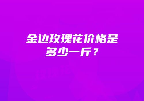 金边玫瑰花价格是多少一斤？