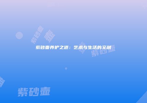 紫砂壶养护之道：艺术与生活的交融