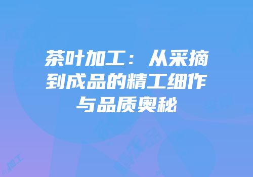 茶叶加工：从采摘到成品的精工细作与品质奥秘