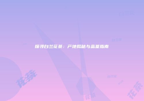 探寻白兰花茶：产地揭秘与品鉴指南