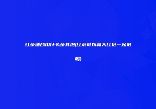 红茶适合用什么茶具泡(红茶可以和大红袍一起泡吗)