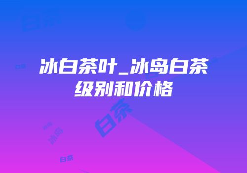 冰白茶叶_冰岛白茶级别和价格