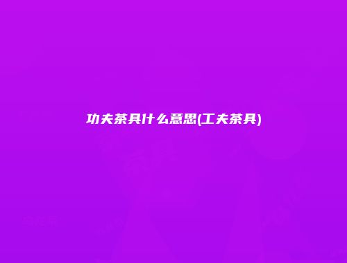 功夫茶具什么意思(工夫茶具)