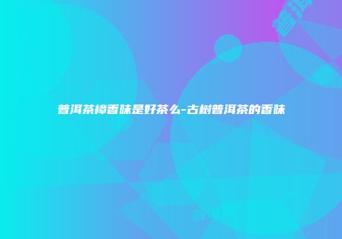普洱茶樟香味是好茶么-古树普洱茶的香味