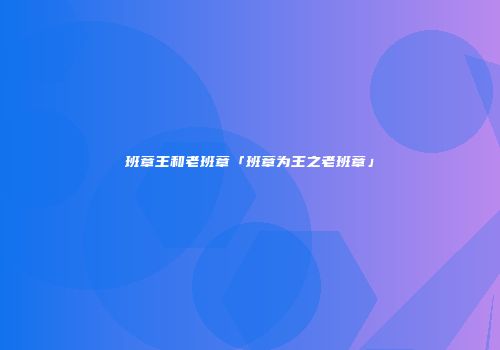 班章王和老班章「班章为王之老班章」