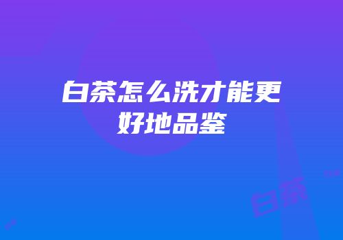 白茶怎么洗才能更好地品鉴