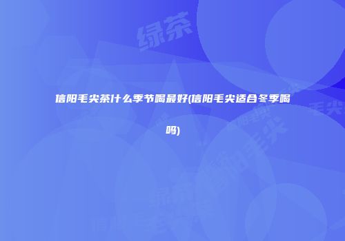 信阳毛尖茶什么季节喝最好(信阳毛尖适合冬季喝吗)
