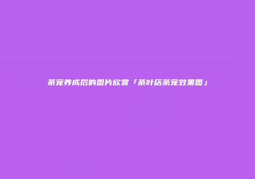 茶宠养成后的图片欣赏「茶叶店茶宠效果图」