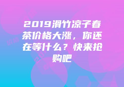 2019滑竹凉子春茶价格大涨，你还在等什么？快来抢购吧