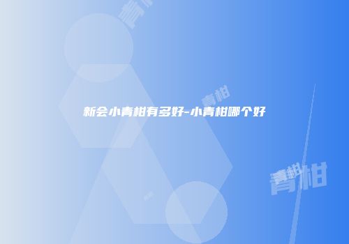新会小青柑有多好-小青柑哪个好
