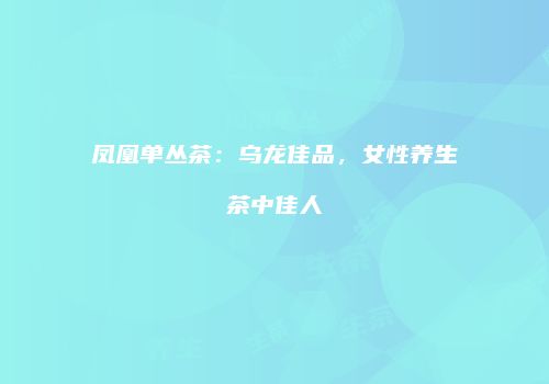 凤凰单丛茶：乌龙佳品，女性养生茶中佳人